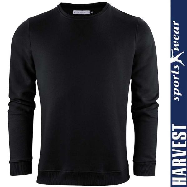 Sweatshirt im College Stil -ALDER, HARVEST - 2132024