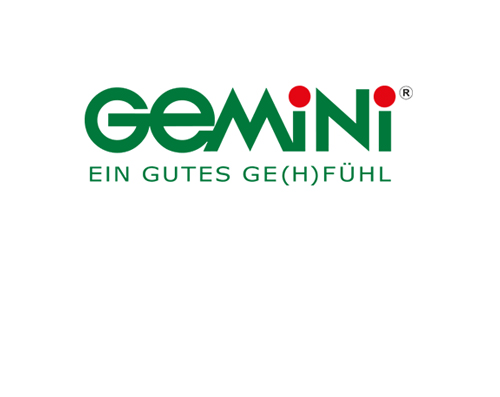 Gemini-Schuhe-Teaser-Rubrik-Strassenschuhe-shopschwiiz