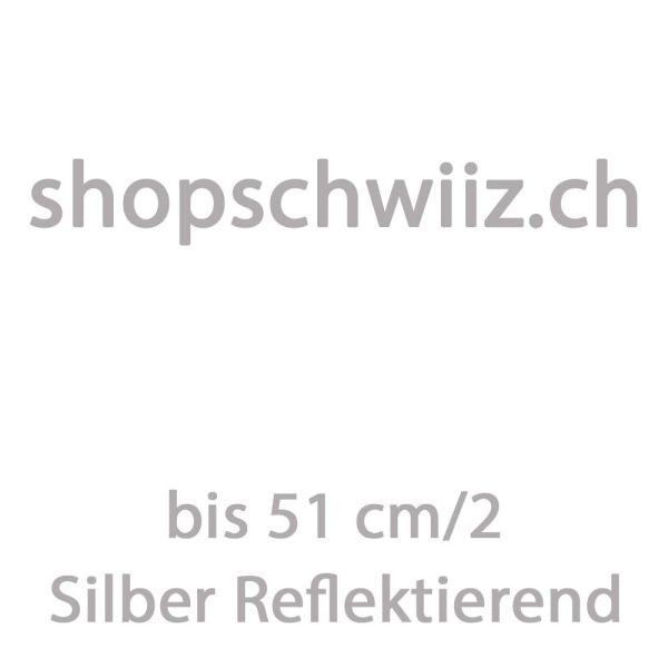 Silberfarbiger Print (Nur Folie ohne Aufpressen)-ab 200-250cm/2