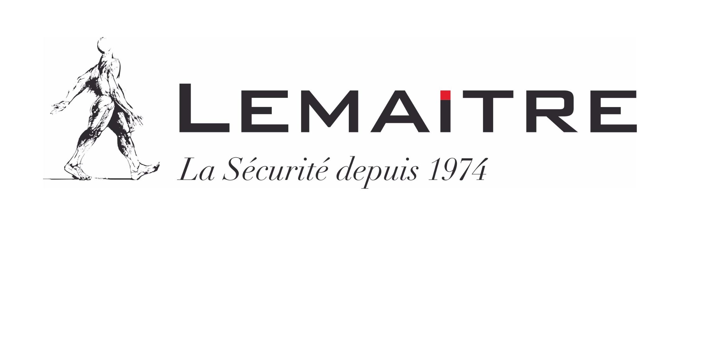 Lemaitre_Logo_Rectangle_